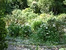 Penlee Memorial Park. 28 May 2003.